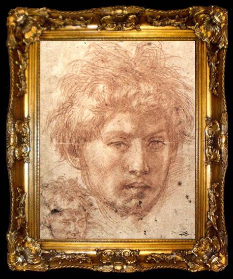 framed  Andrea del Sarto Head of a Young Man, ta009-2